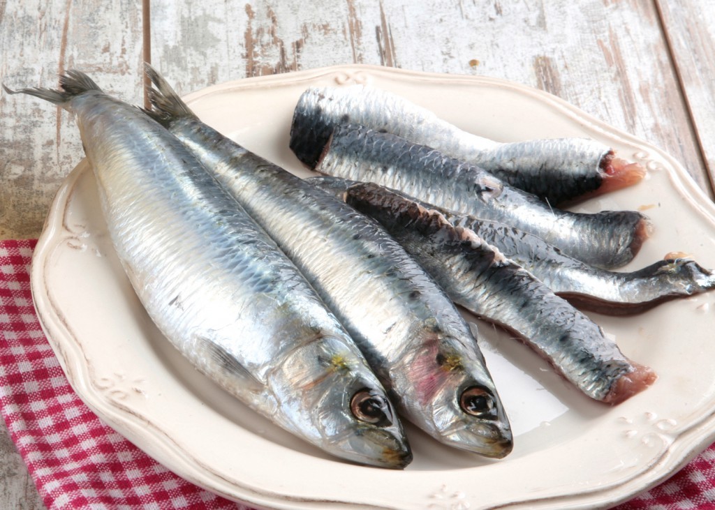 sardinas para el blog